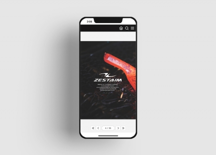 ZESTAIM<Br/>����