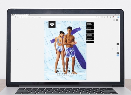 arena<Br/>��ǰ��