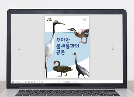 ��������<br/&gt��