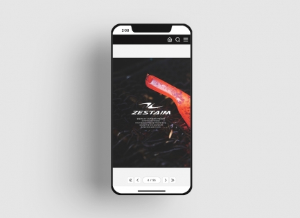 ZESTAIM<Br/>����