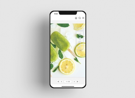 �����νú��Ǽ�<br��