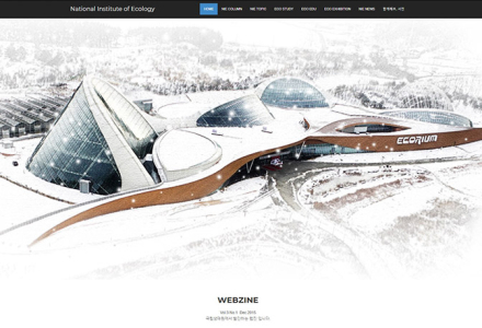 �������¿�