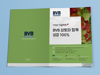 BvB<br/> ���� ��ν��� ����