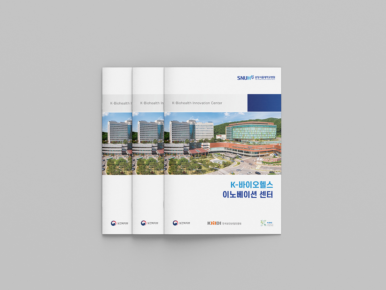 �д缭����б����� K-���̿��ｺ<br/>�̳뺣�̼� ���� ��ν��� ����