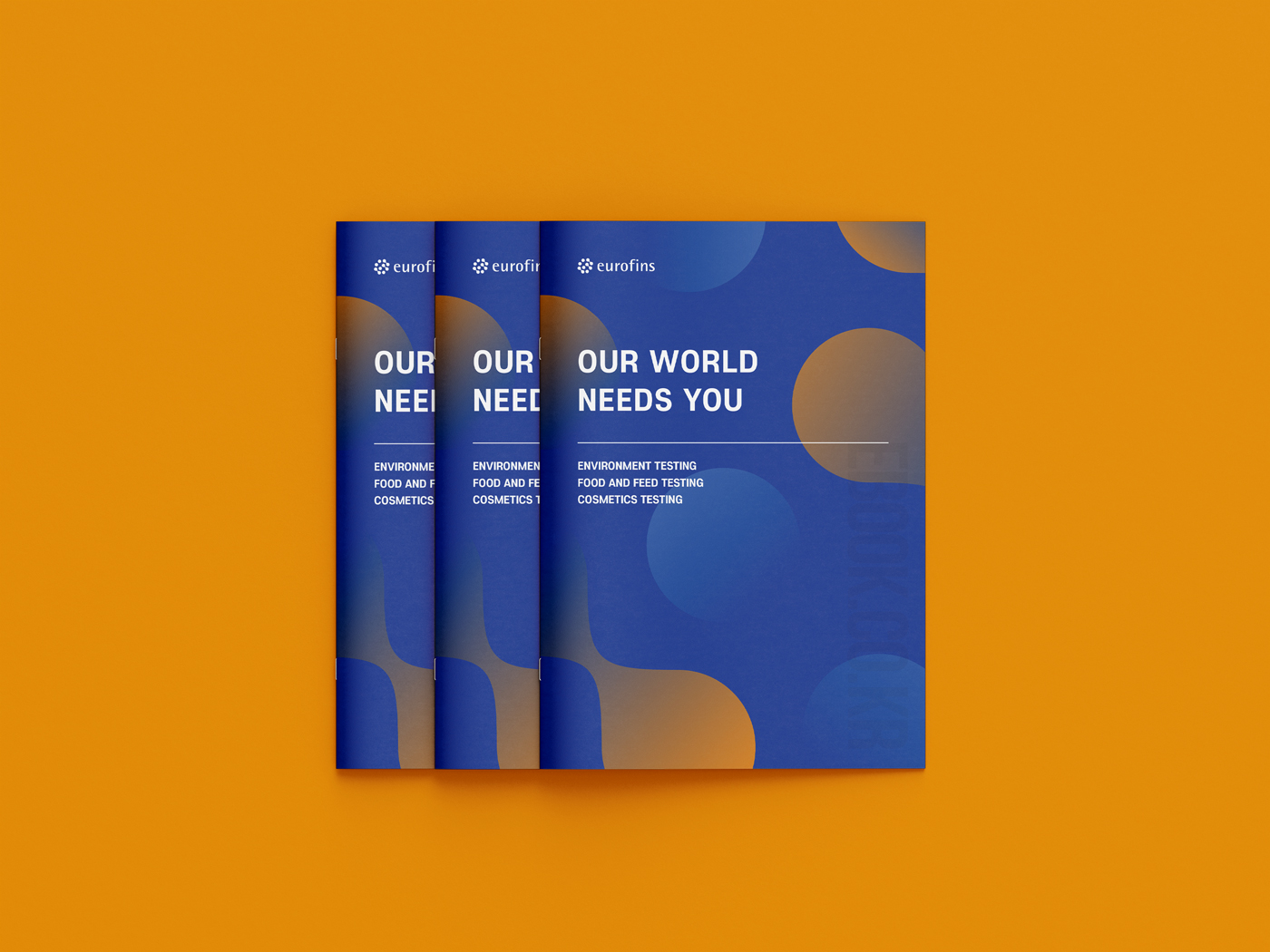 �ܱ�����<br/>ȸ�����Ұ���ν��� ����