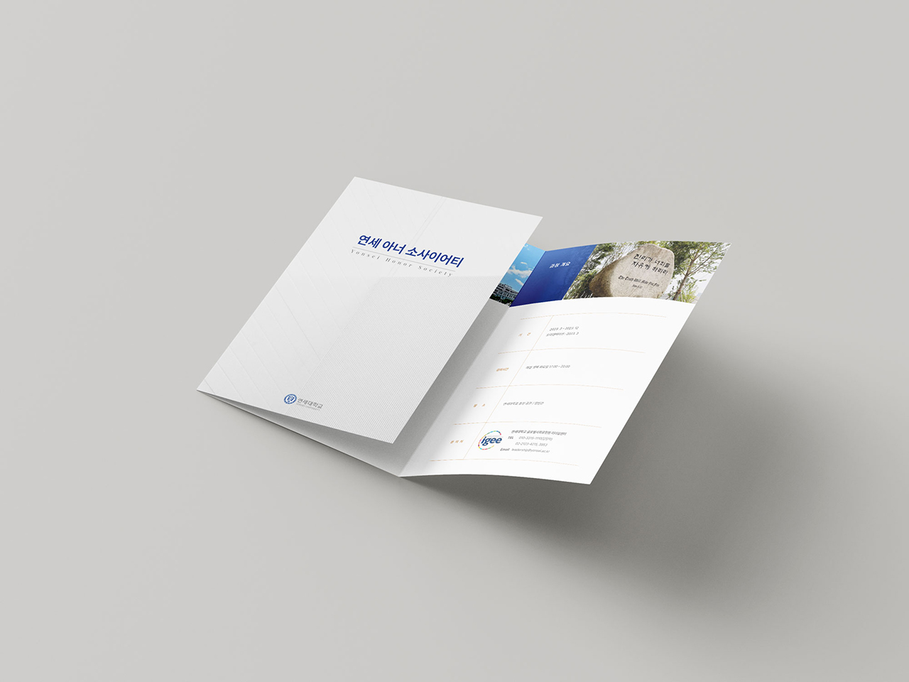 �������б�<br/> ���� �Ƴ� �һ��̾�Ƽ ���÷� ������